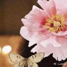 杨紫在剧中饰演这位百花匠人出身的女主角不仅颜值在线，更用精湛的演技将何惟芳的胸襟