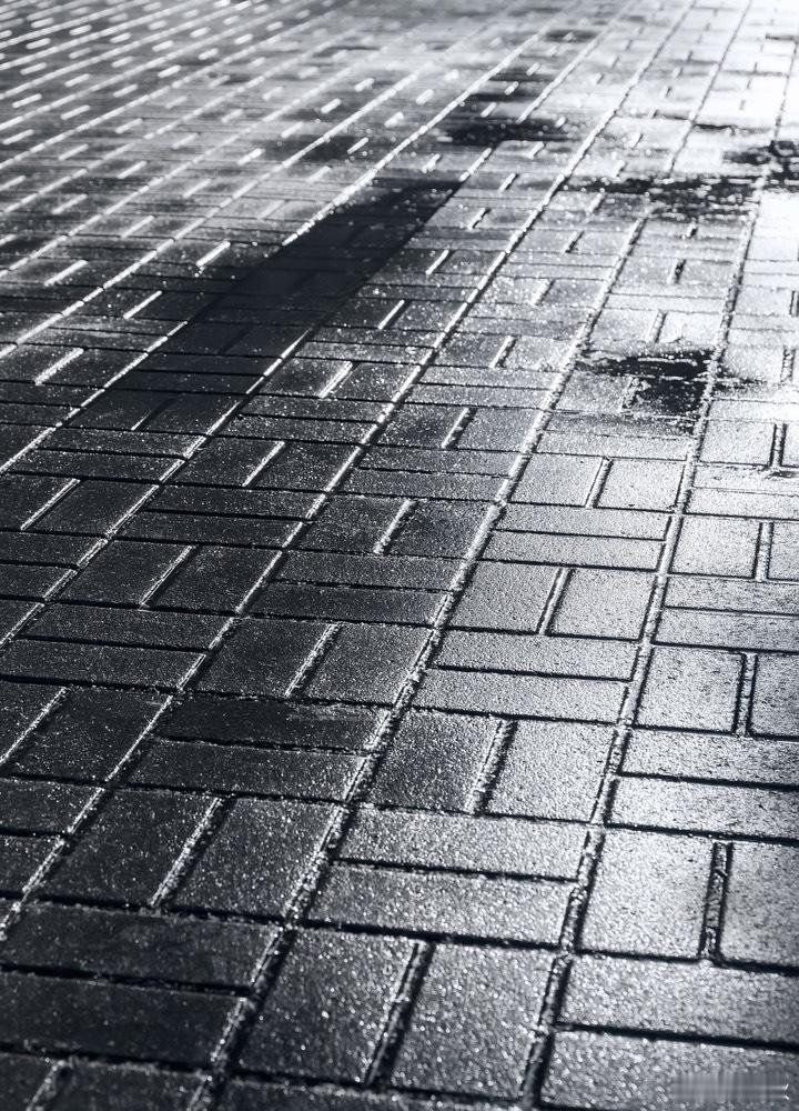 乍暖还寒廿大细节这几天，上海正处在典型的“乍暖还寒”时节。未来一周，上海天气将呈