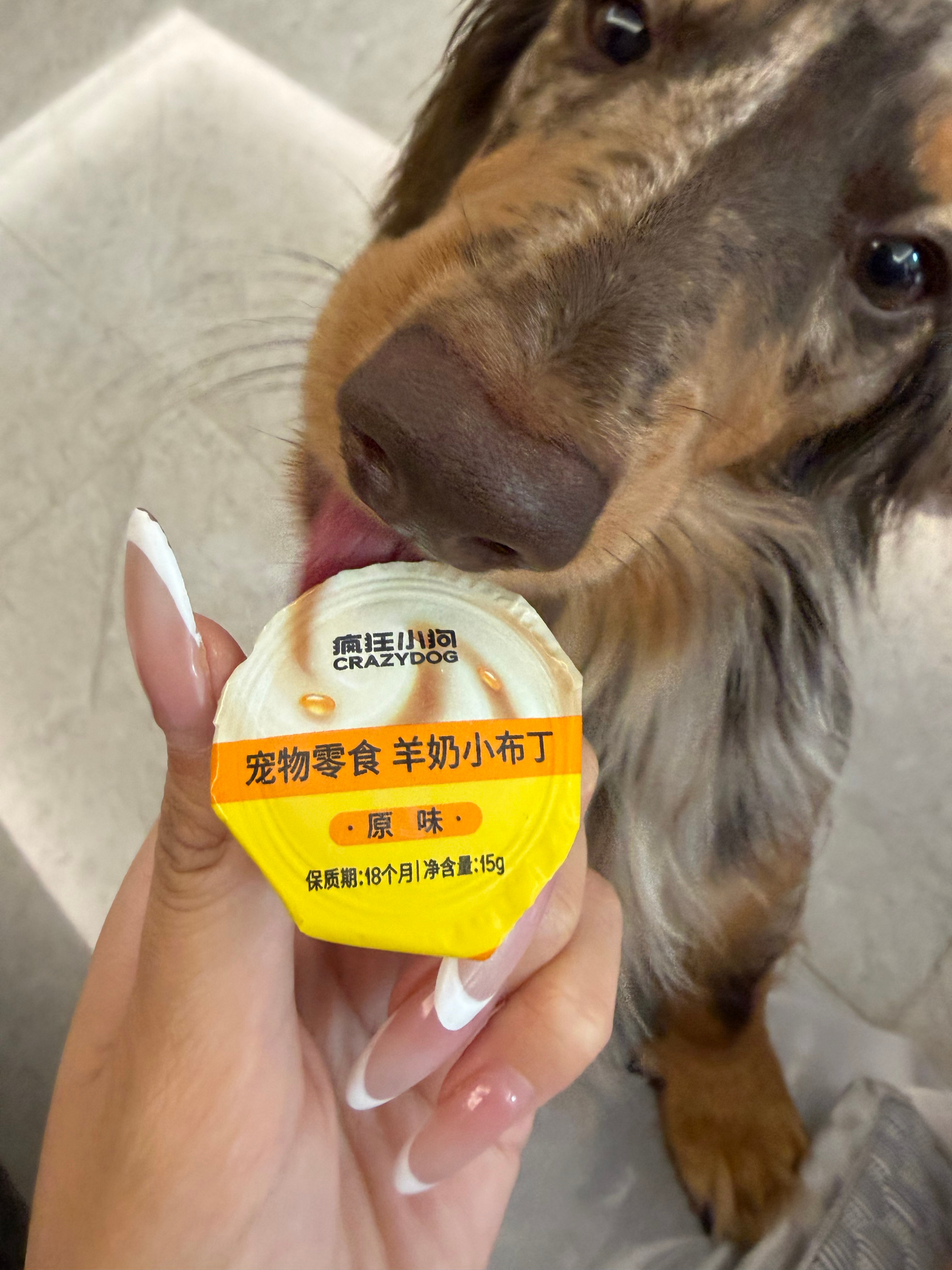 好幸福 买了一堆棒棒冰和小奶糕 遛完勺子都热够呛 回家洗个大澡吹着空调 拿出给小