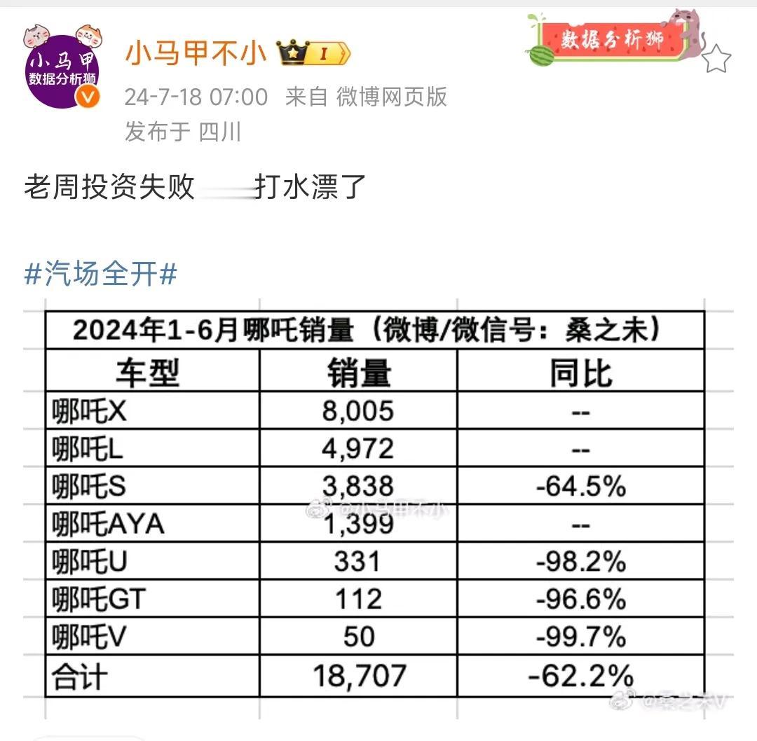 哪吒汽车，2024年1-6月，销量18707辆？

这数据存疑，太少了。