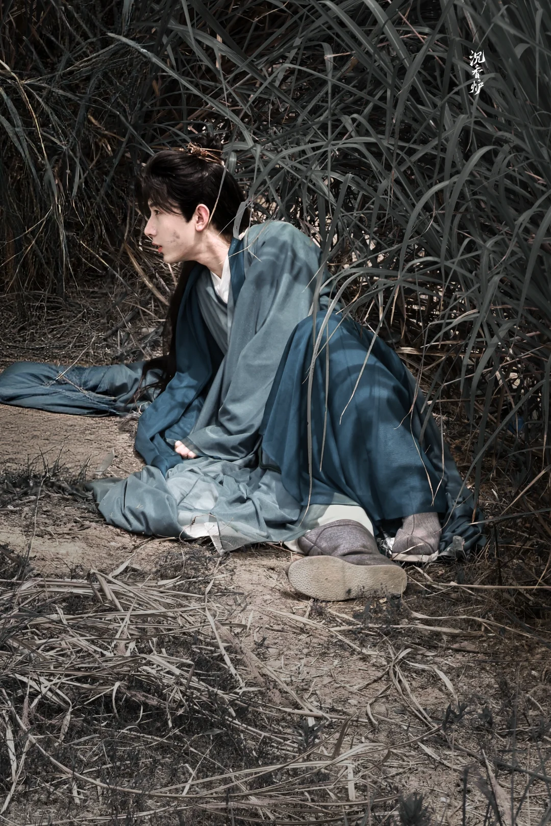 万般夏色，独独青盛。