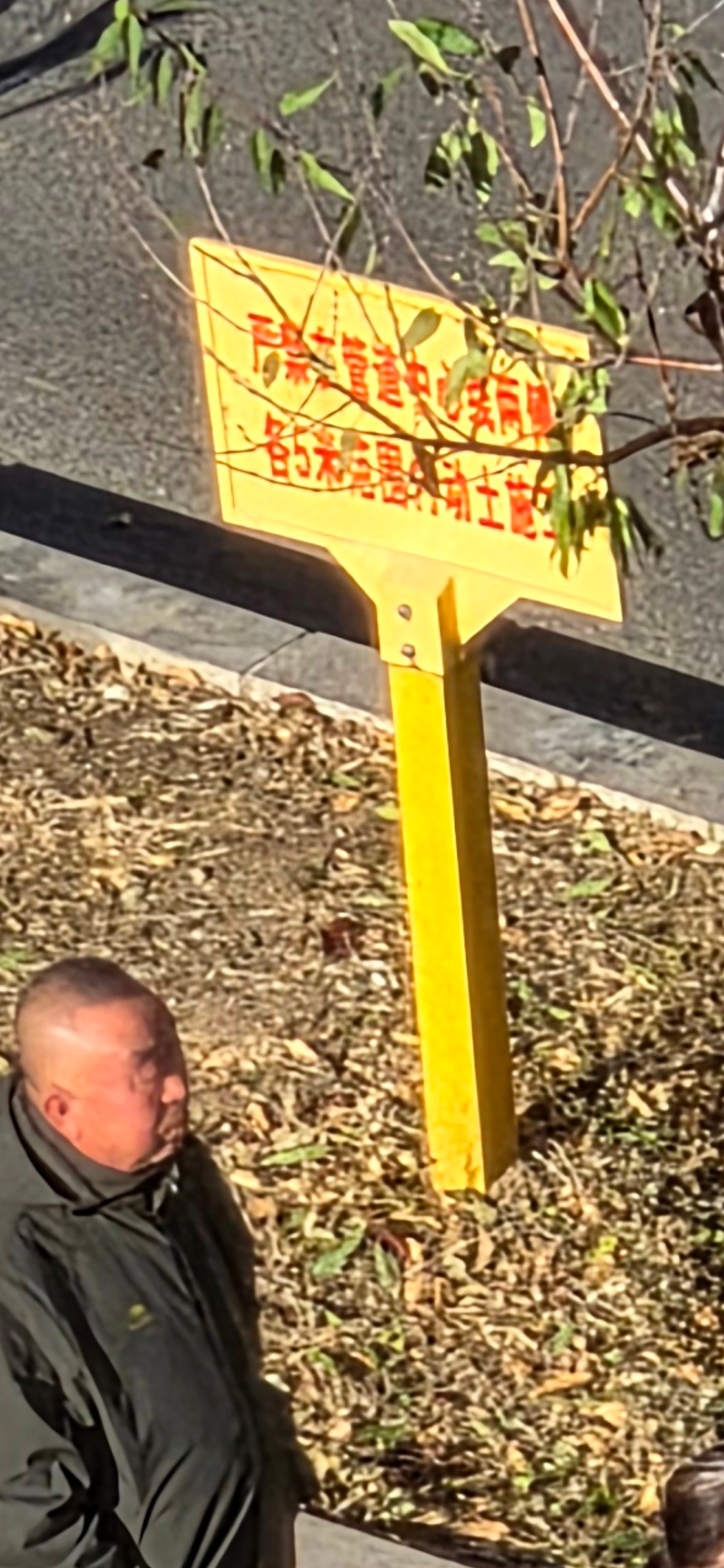 S25 Ultra，vivo X300 Pro   默认模式和原生光影，vivo