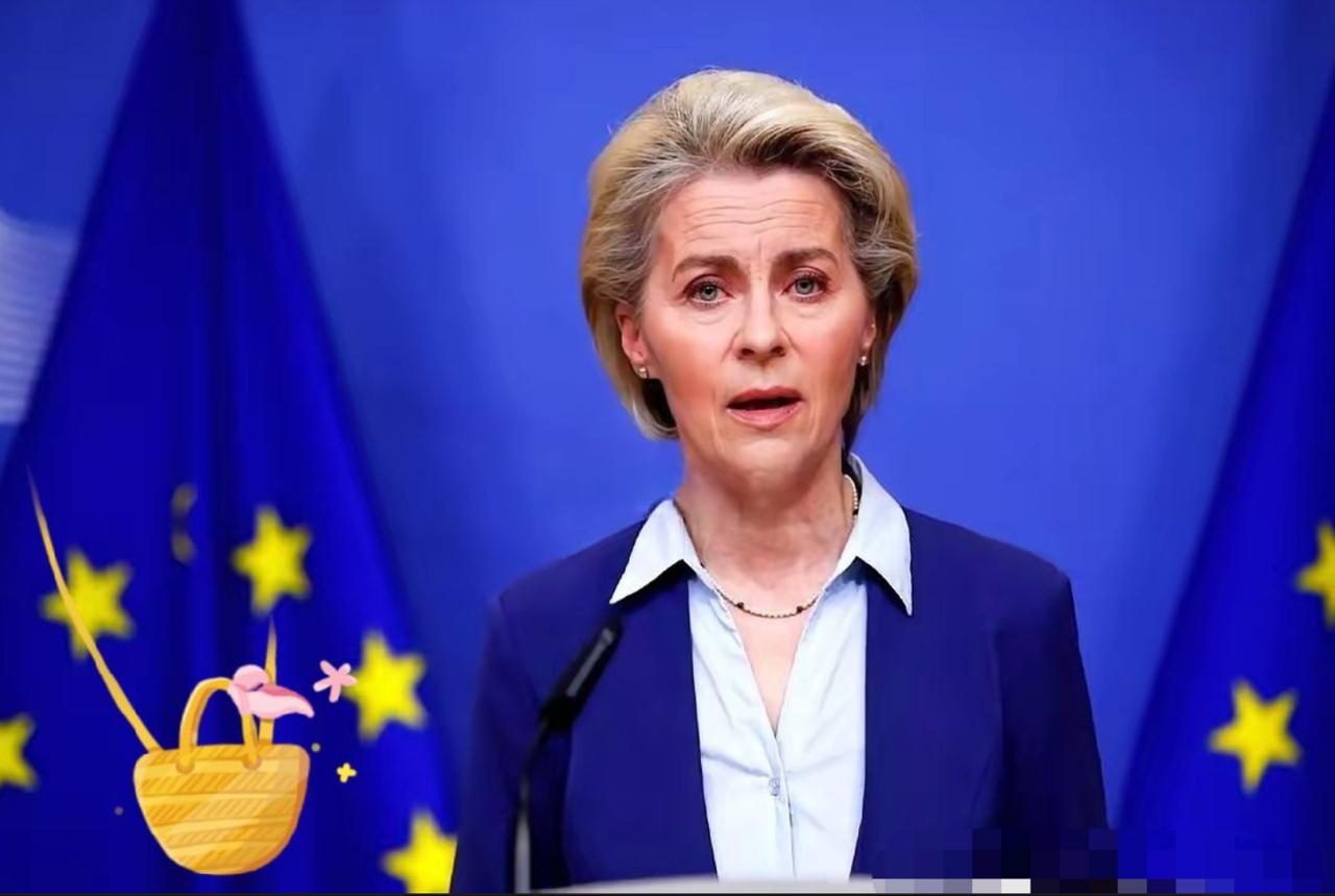 有人当着冯德莱恩的面，问了一个让她差点当场“宕机”的问题。
他说，如果美军航母封