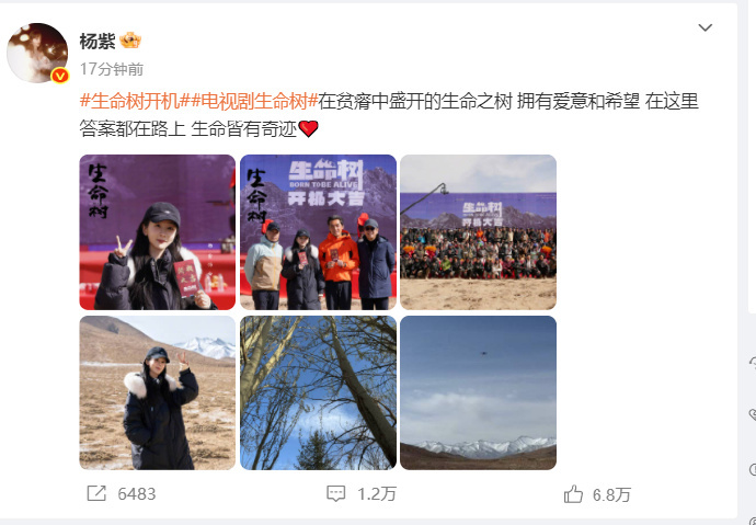 【#杨紫发文庆祝新剧开机#】#杨紫晒新剧生命树开机照# 5月3日，发文庆祝新剧《