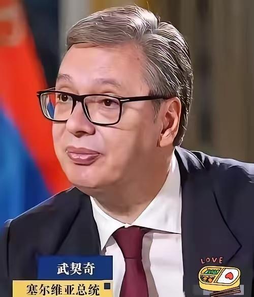 我好奇查了下武契奇总统，
不查不知道，
一查才明白，他不仅是欧洲政坛的“端水高手