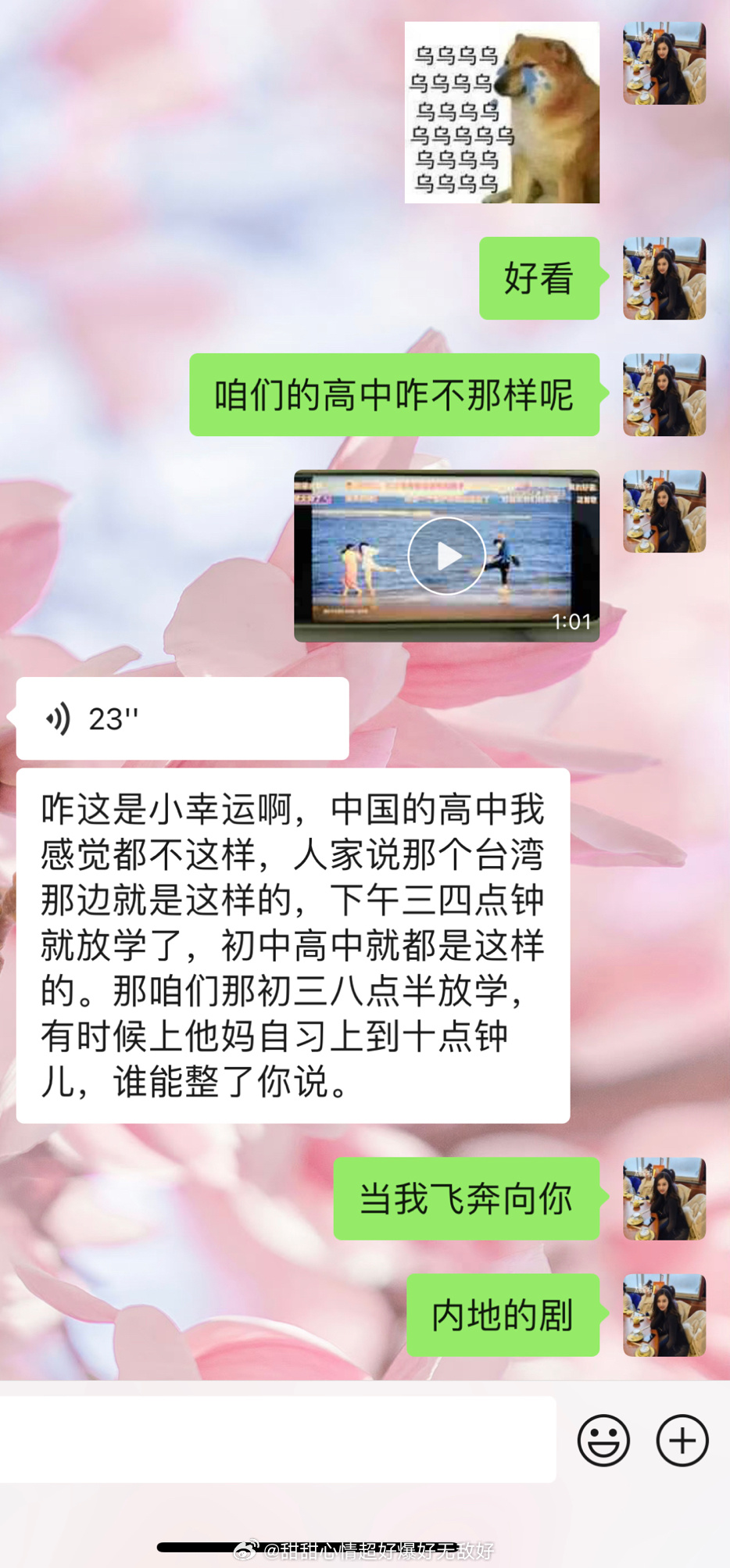 我笑晕了我跟我最好的朋友说当我飞奔向你这部剧（我们高中在一起读的我说咱们高中咋不