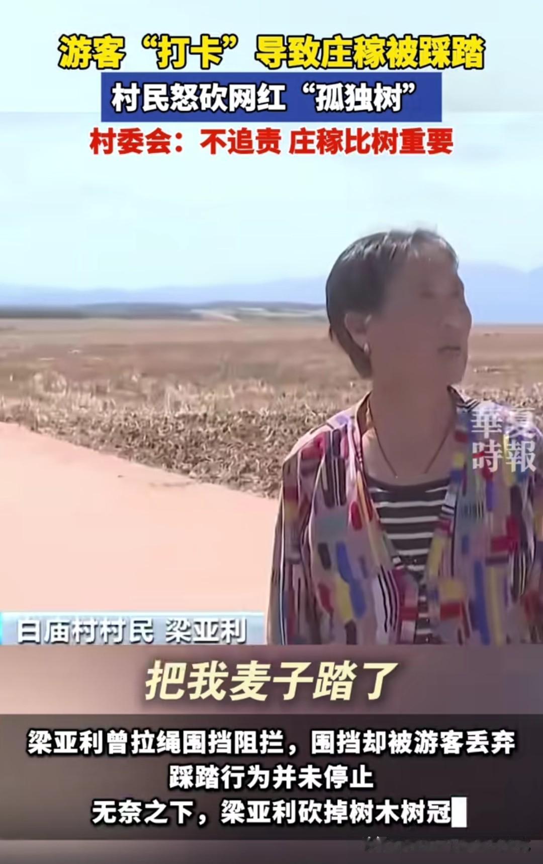 一棵突然走红的树，曾是农民浇地时歇脚的阴凉，却在短视频的推波助澜下，变成了游客镜