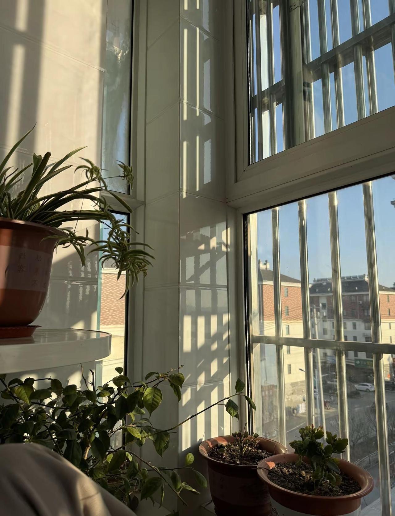 宁波小洛熙事件