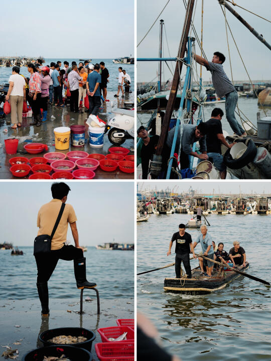 日杂风扫街｜凌晨5点半的揭阳惠来澳角港口