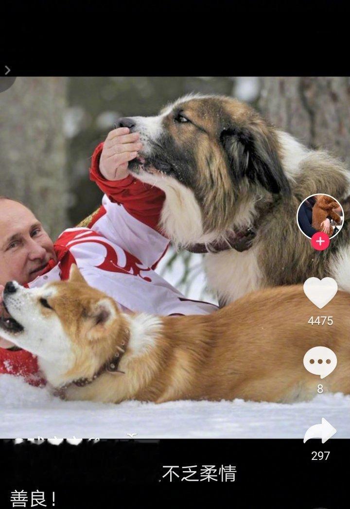 和谐社会从关爱动物开始，榜样的力量是强大的！