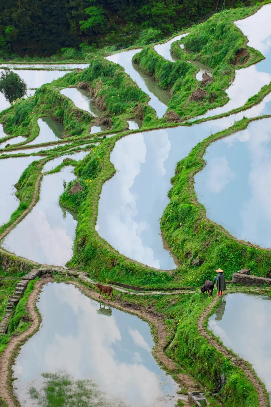 云端秋千：步入宫崎骏的童话世界💚