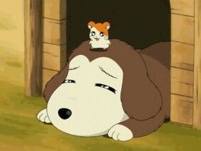 小小哈姆太郎!! ​​​