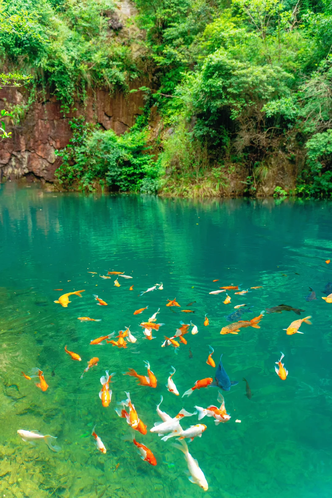 跟风最成功的一次，浙江九寨沟美翻了