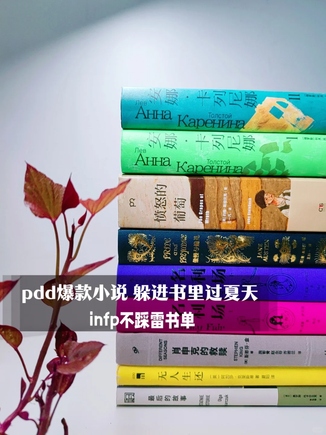 infp不踩雷书单|一些反复沉溺的个人世界