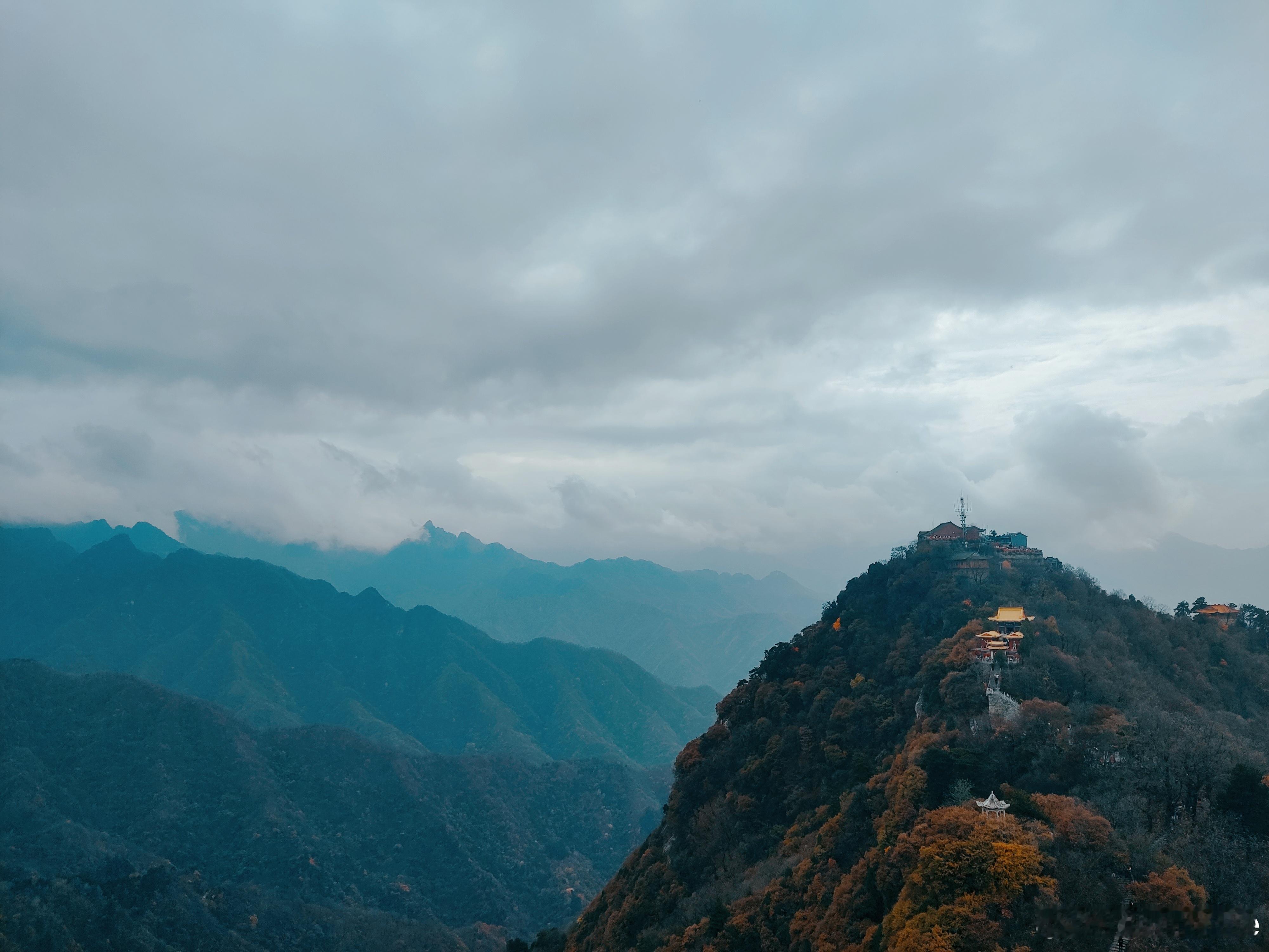 终南山没有小龙女。 ​​​