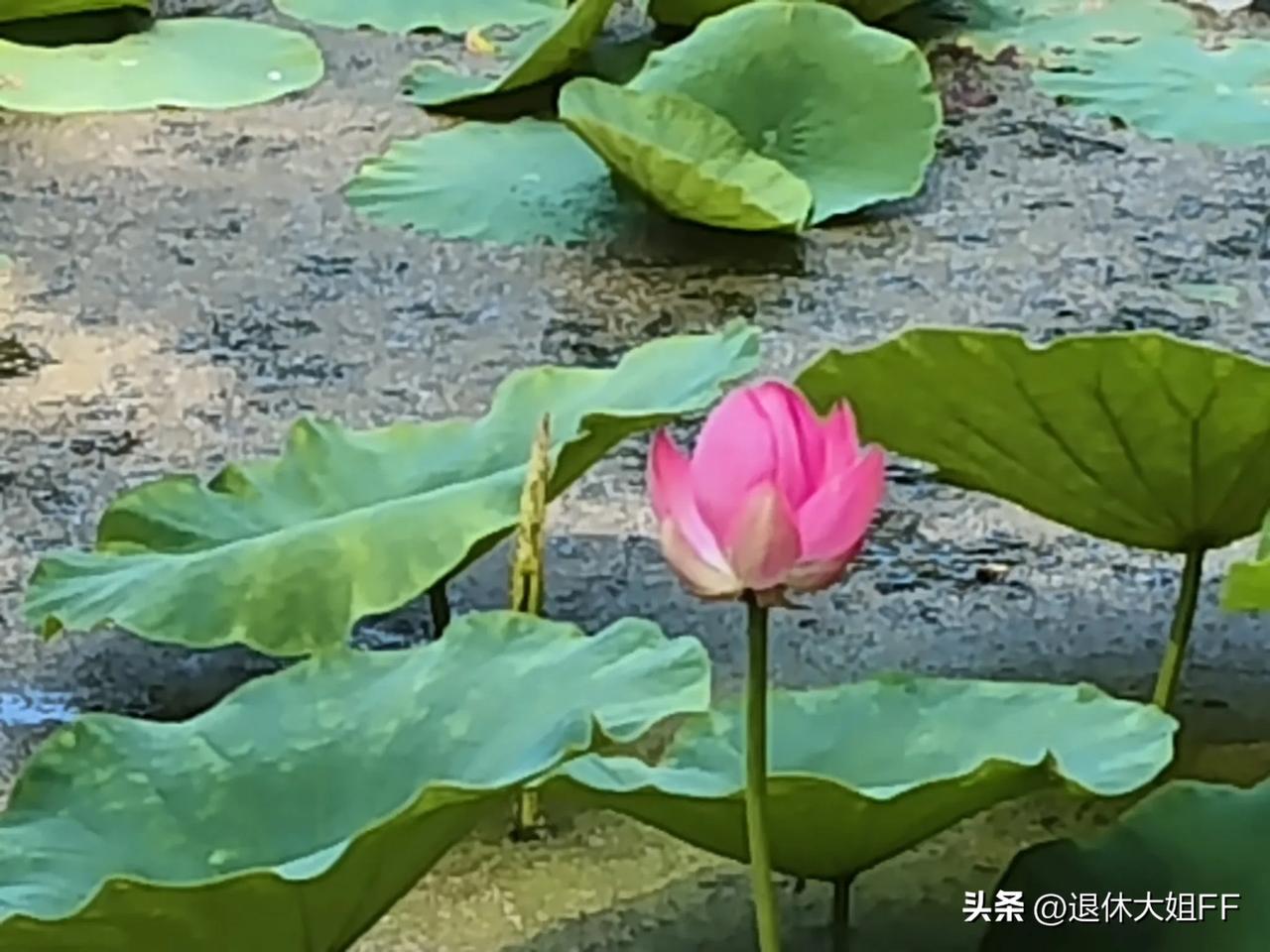 保姆拐走婴儿35年仅获刑三年，引发舆论争议，犯罪成本低到这种程度了吗？

这可是