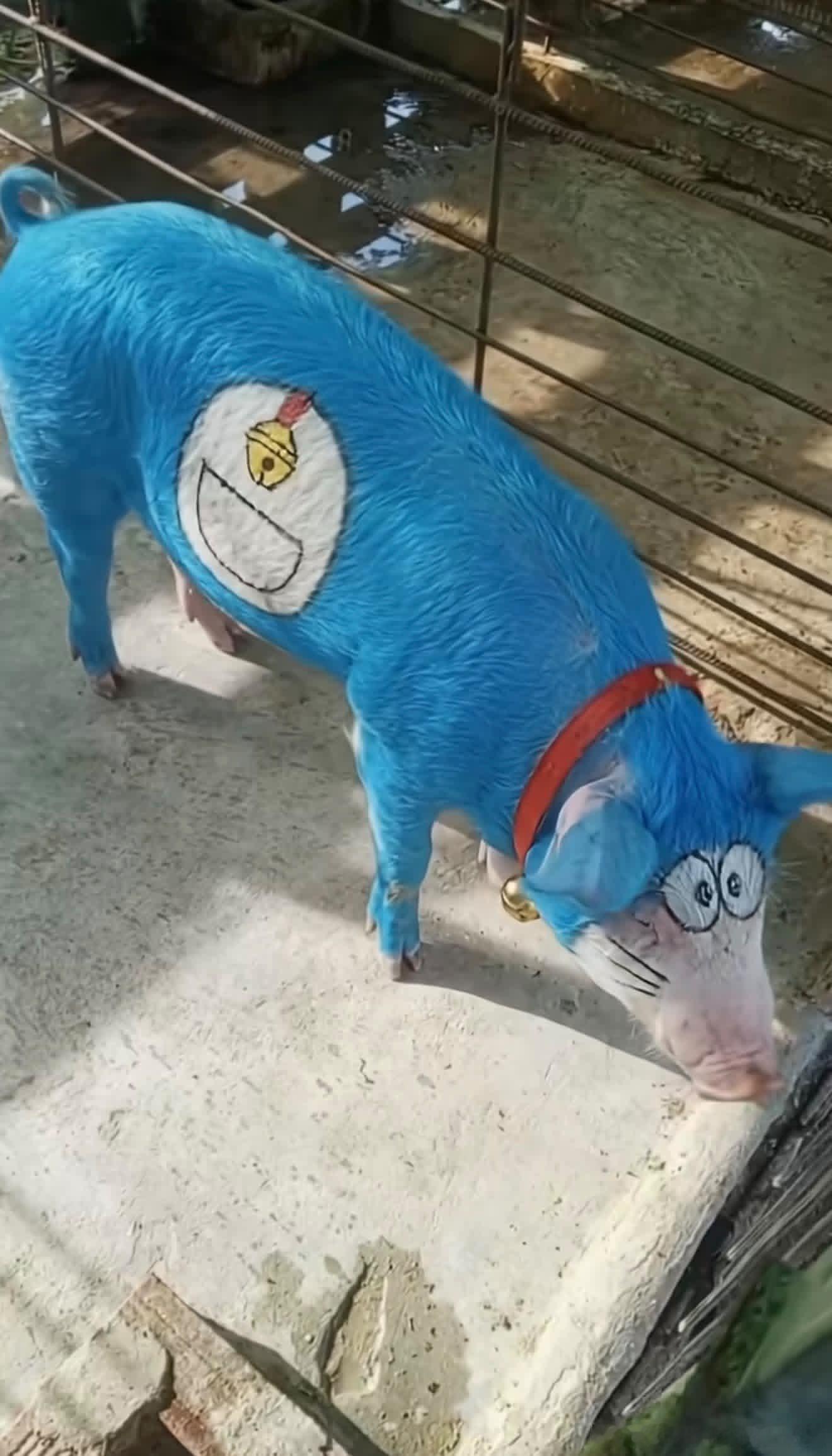 我出门啦 ​​​