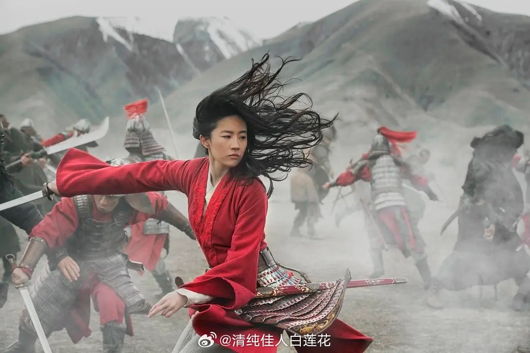 逐玉编剧 豆瓣打分她真的应该很喜欢刘亦菲，《花木兰》是她少有打五⭐️的... 关