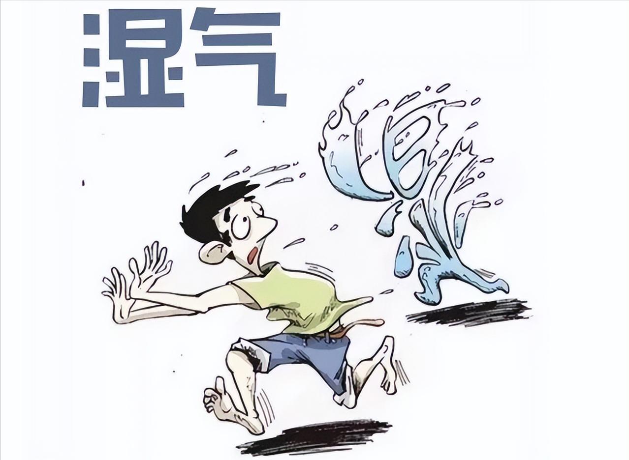 中医关于湿的表述

    湿有内外之分，外湿为六淫之一，常先伤于下（人体腰