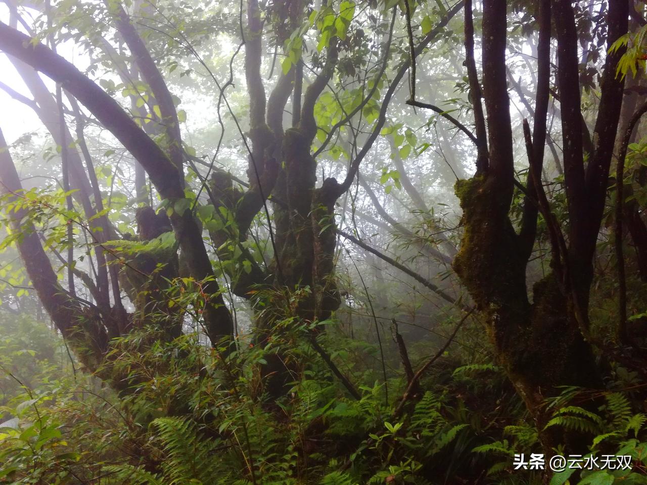 朋友母亲住进ICU，老人跌倒后不想吃东西关呕吐，是高危信号，要立即送医院。朋友及