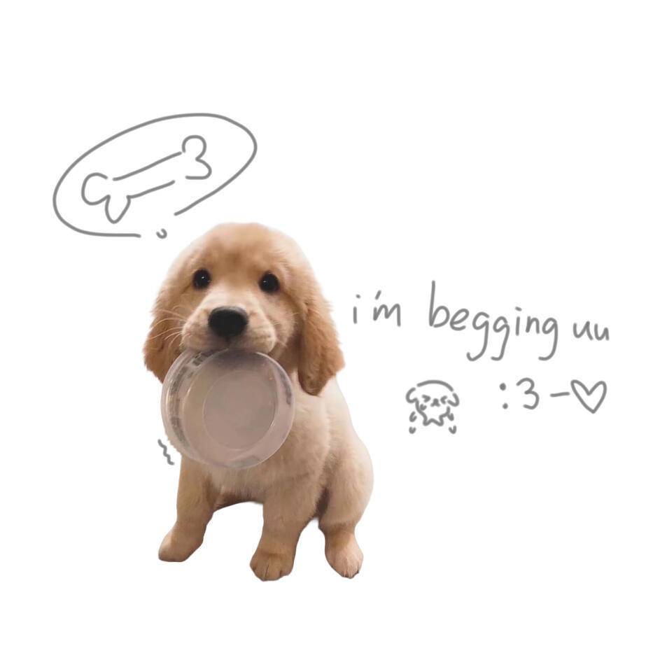 𝘈𝘯𝘪𝘮𝘢𝘭𝘴 