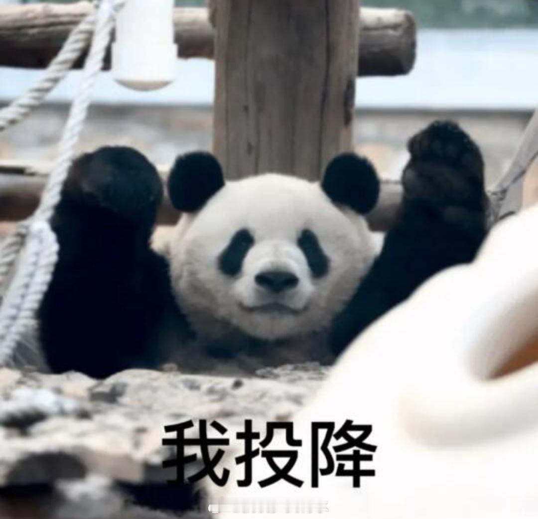 #这个周一给我一种无力感#早上好呀，怎么又周一了？还好我今天上午请假了，刚睡醒[