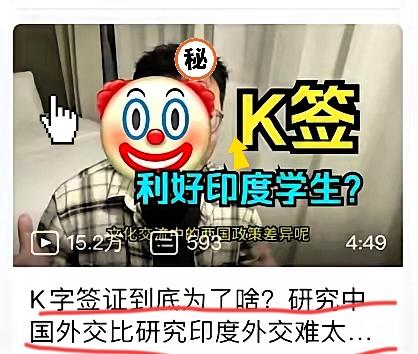 在印度的小李也不看好K签，K签本来是吸引人才的，可他发现印度那边学历造假技术“炉