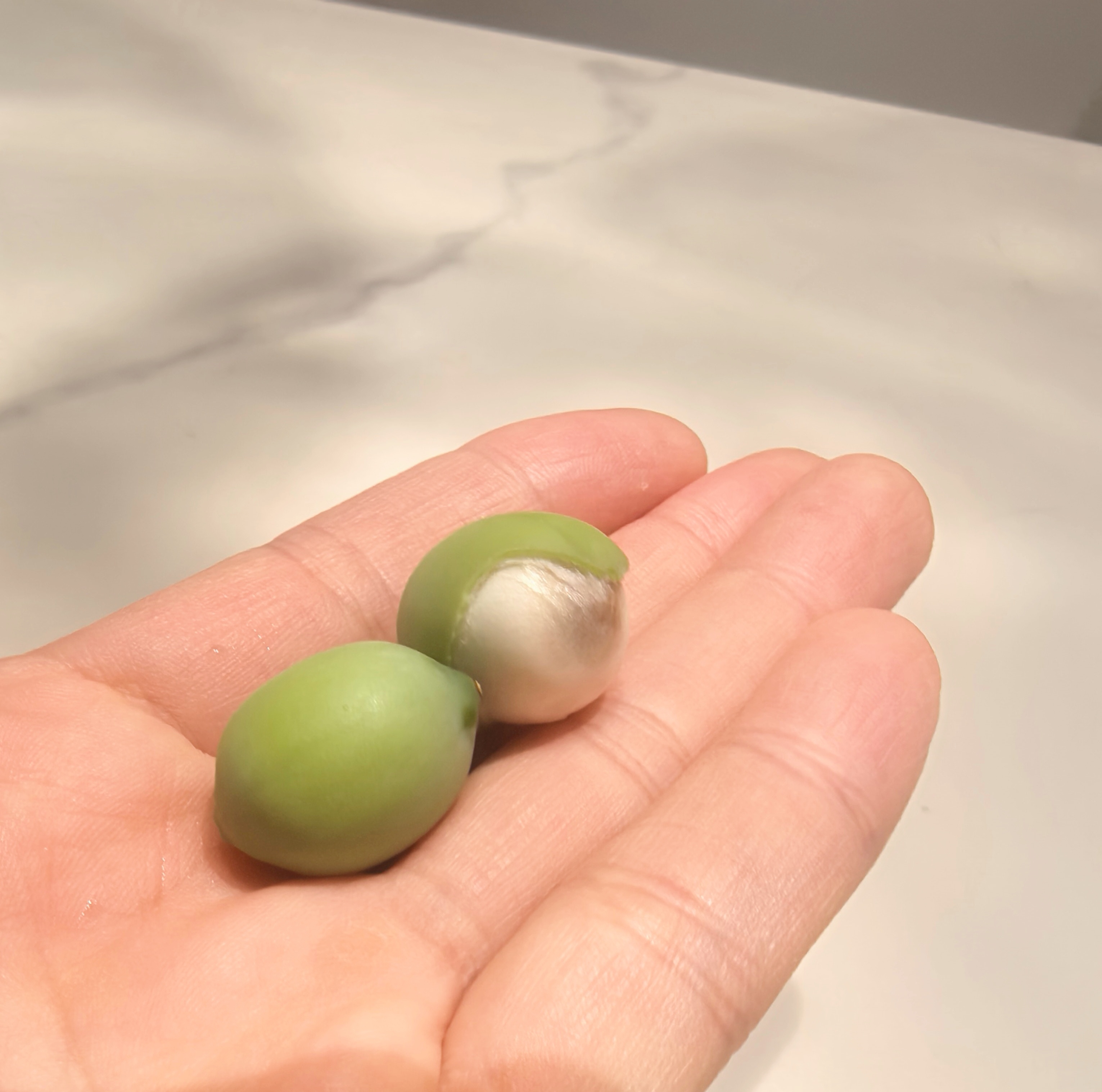 昨晚吃到的纯甜莲子！第一次吃到甜滋滋莲芯的~好吃😋家里人路边买的！ 