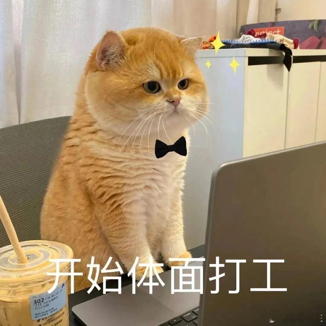 🧑🏼‍💻：P⃝L⃝O⃝G⃝♡ 清空假期的慵懒 一切向「钱」看💸 ​​​
