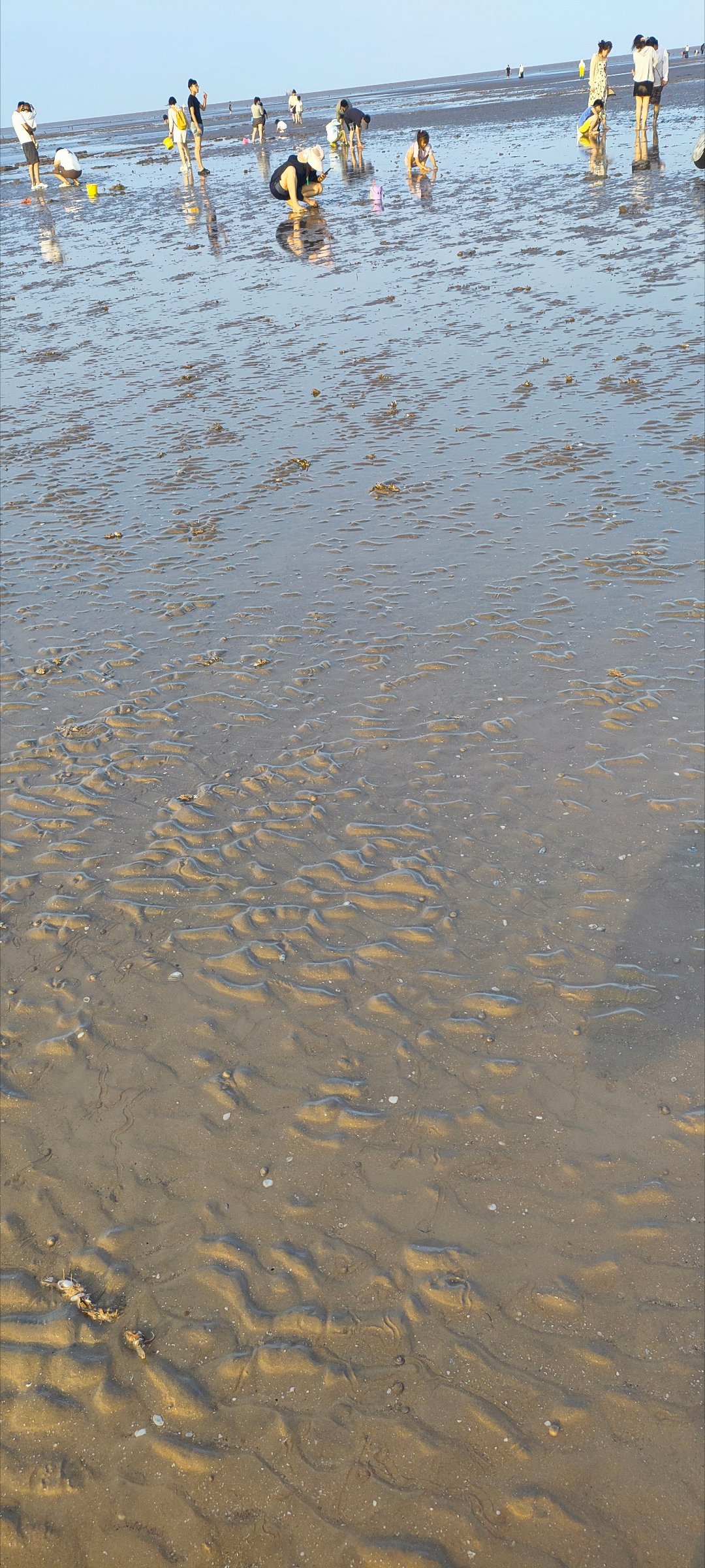 赶海