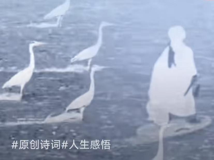 题图
练个轻功水上飘，
也学白鹭踏波涛。
同游沧海谋生计，
它为鱼虾我为钞。