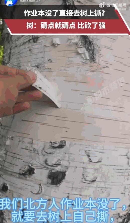 这么神奇吗？网传一段标注地点为河南的视频，一名男子竟然从一棵大树上，轻轻松松地撕
