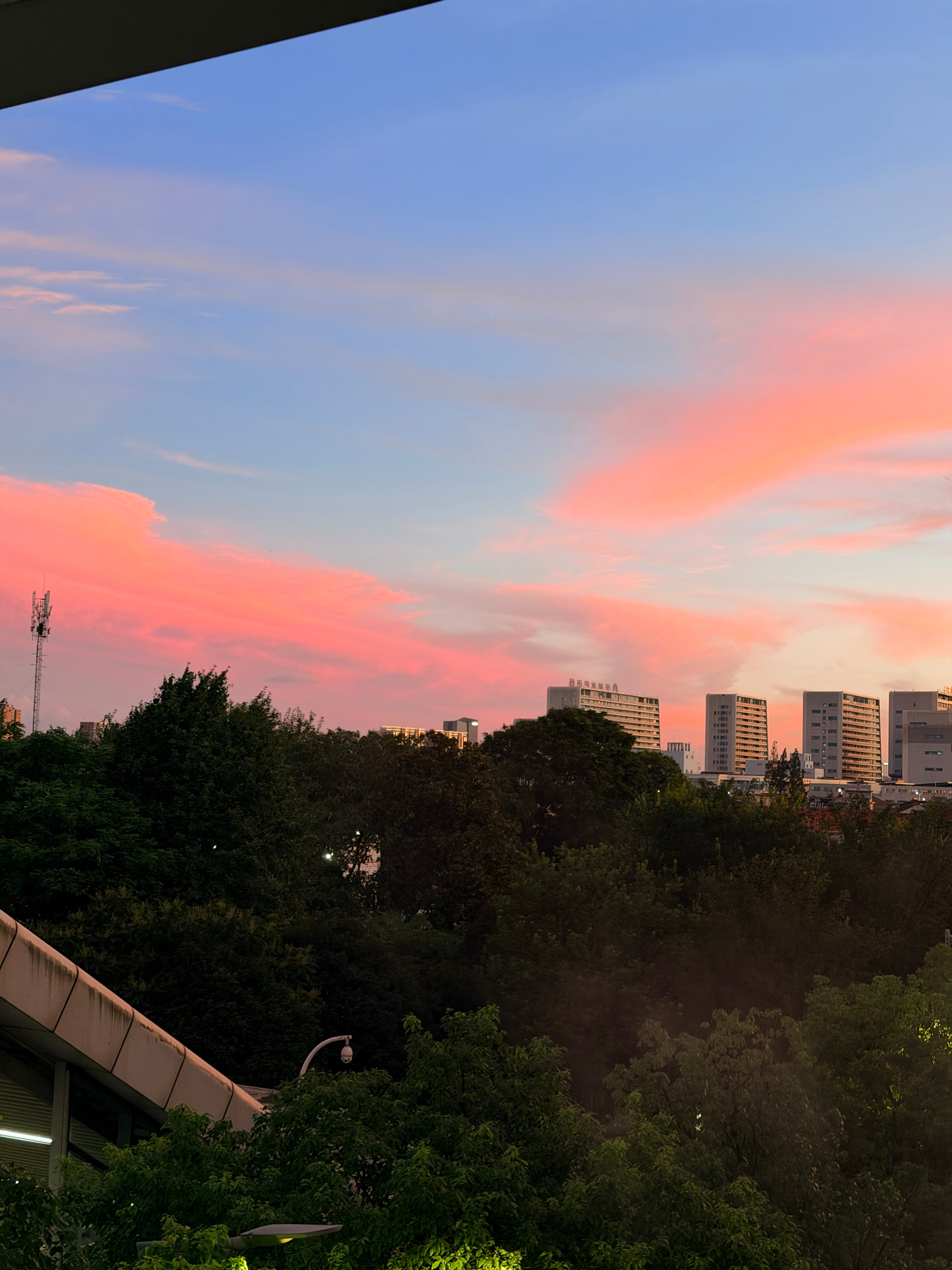 生活手记落日晚霞 一下地铁就看到了超级漂亮的晚霞🌅夏天的傍晚真的太美了 