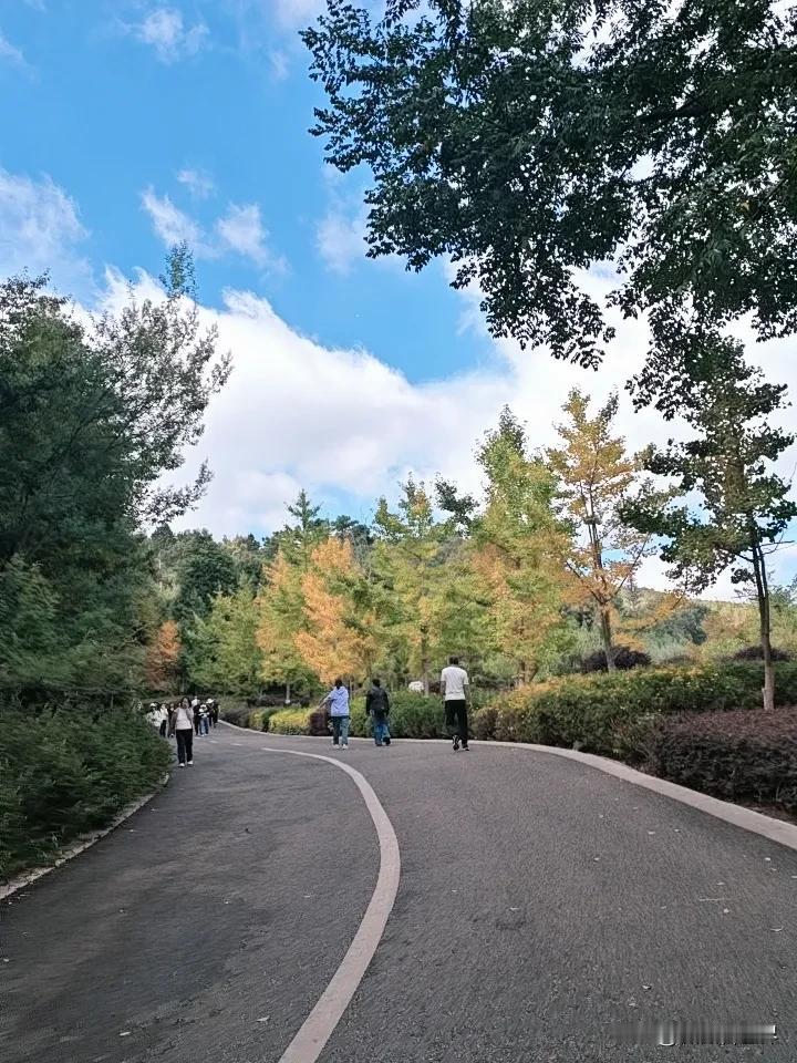 登山