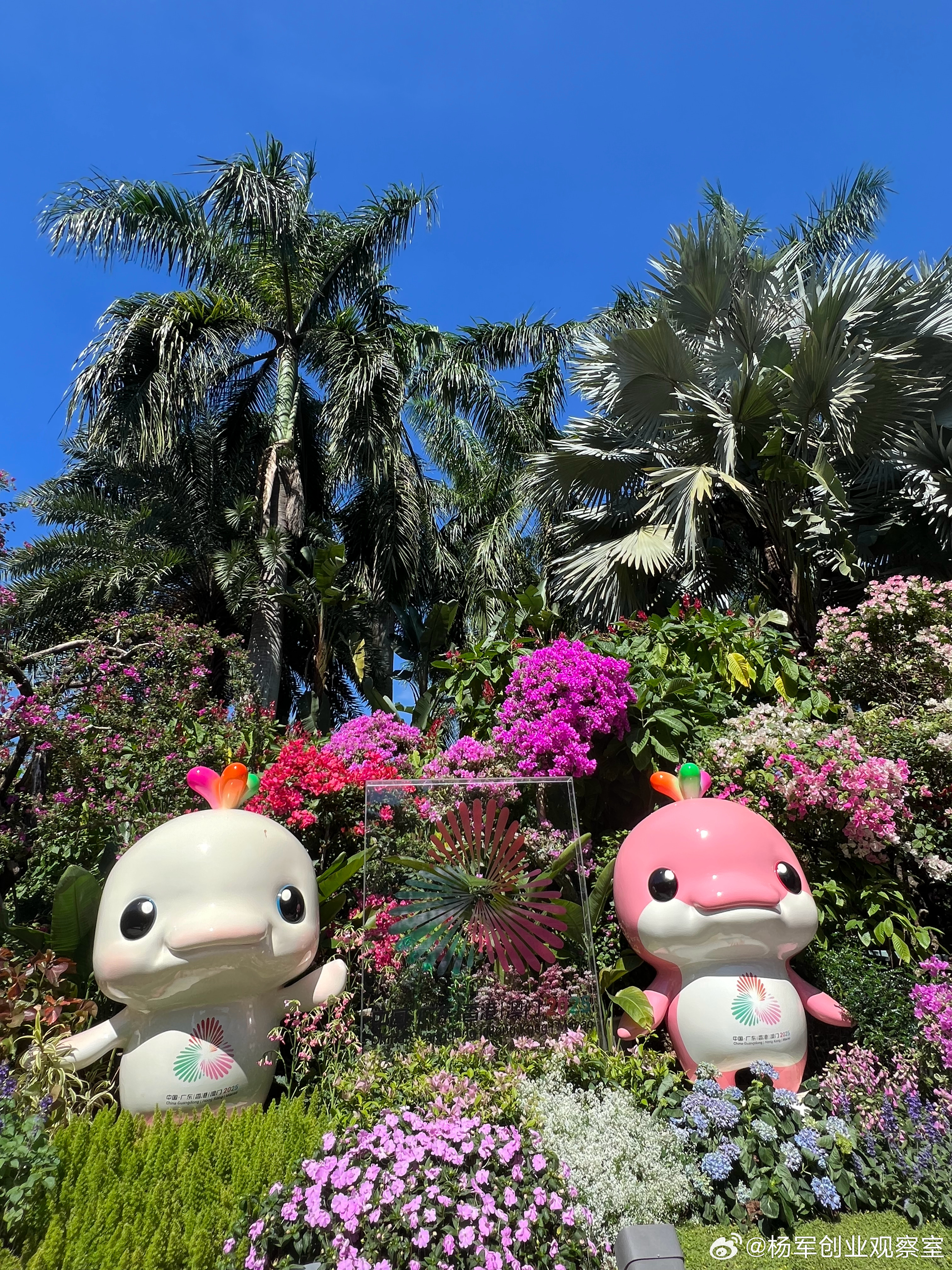 我经常到处讲课，发现很多企业家其实都是玩资产运营资本运营与资产运营是有很大区别的