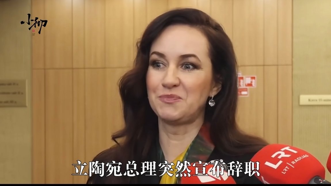 立陶宛为挑衅中国付出代价立陶宛总理仓促辞职，其实这只是连锁后果的冰山一角。这个小