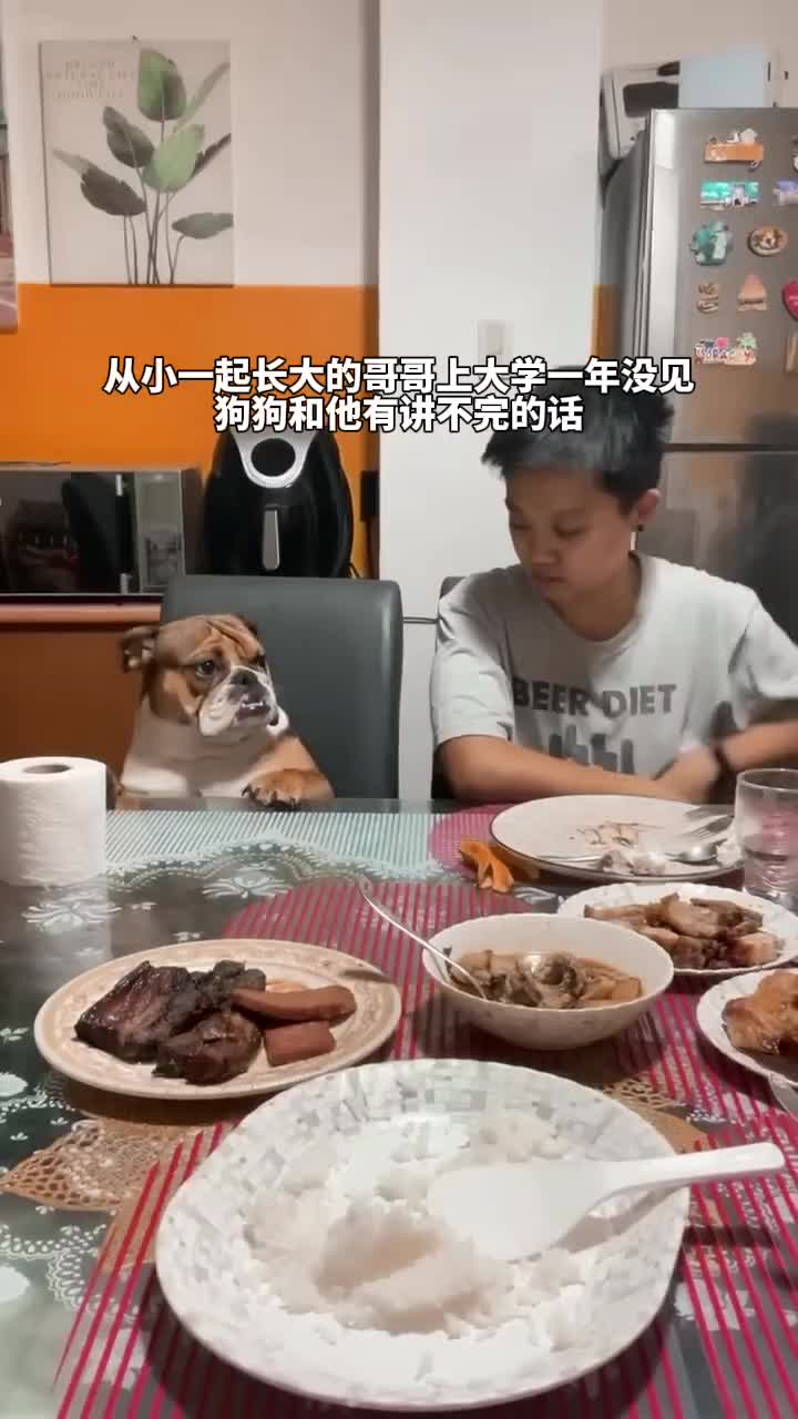 亲爱的你啊 任素汐 狗狗的心思都写在脸上了