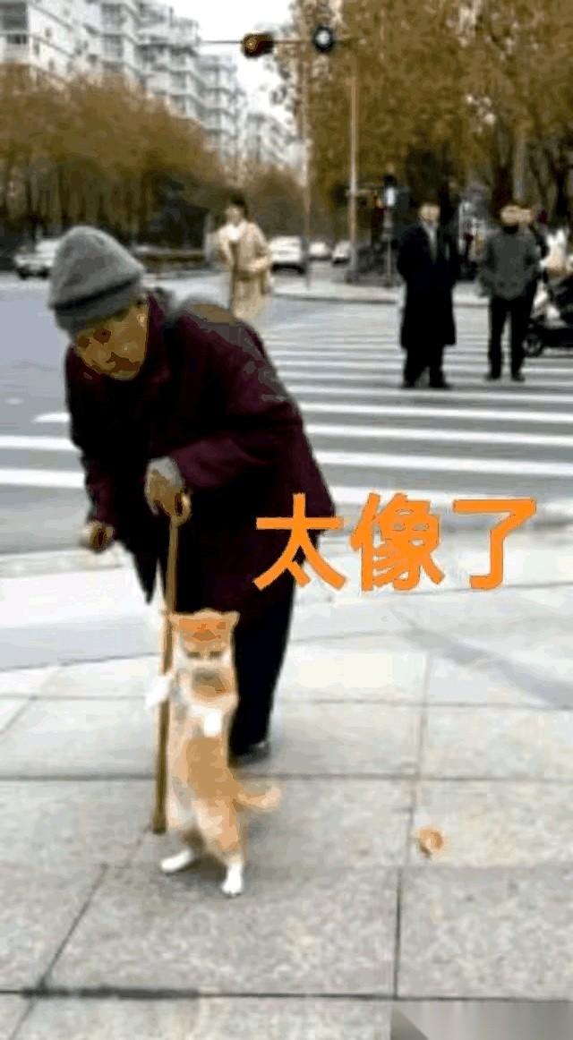 “咚…咚…咚…”
拐杖敲着地，每一下都特别稳。可后面，总跟着一个细碎又不协调的“