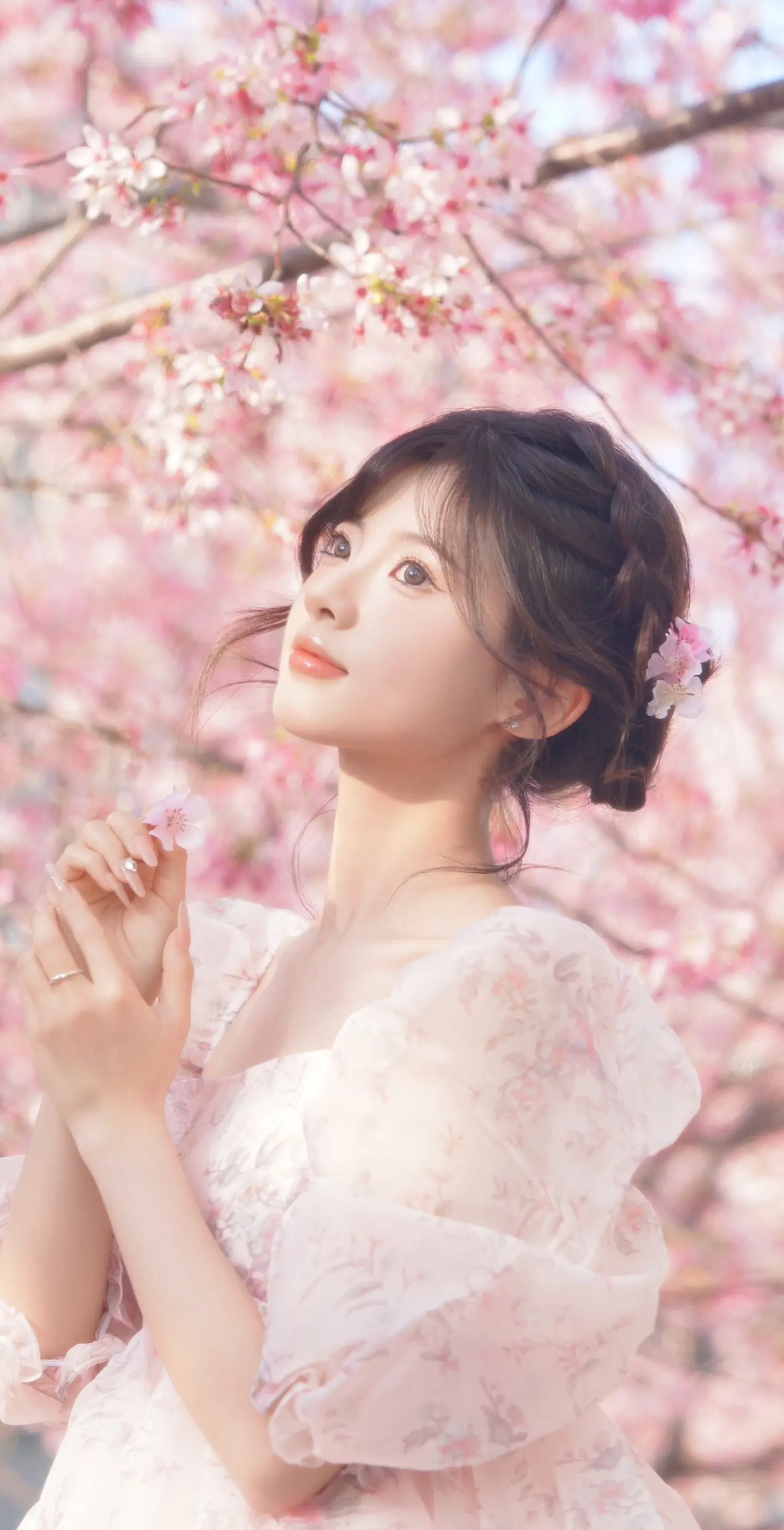 “樱花树下站谁都美” 🌸spring