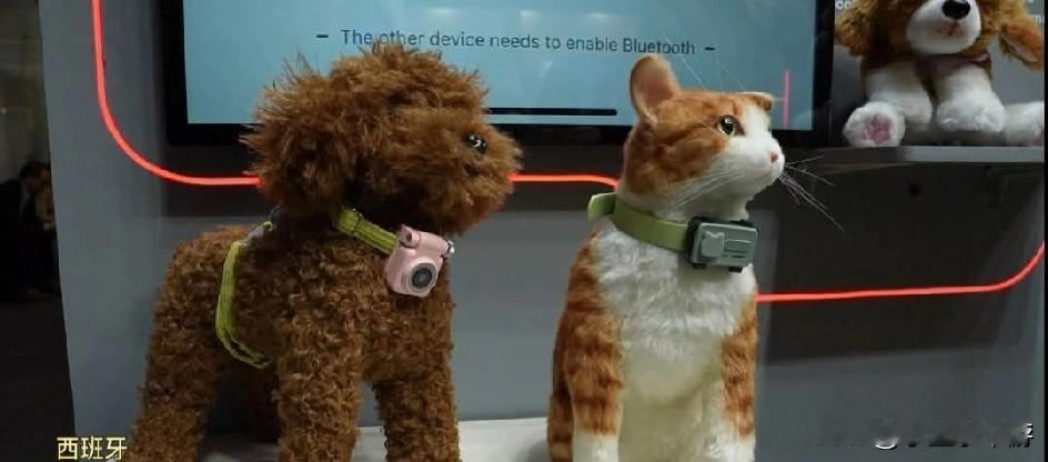 不少饲主出门上班，最放心不下的就是家里的毛孩子。有的狗狗会守在门口等主人回家，有