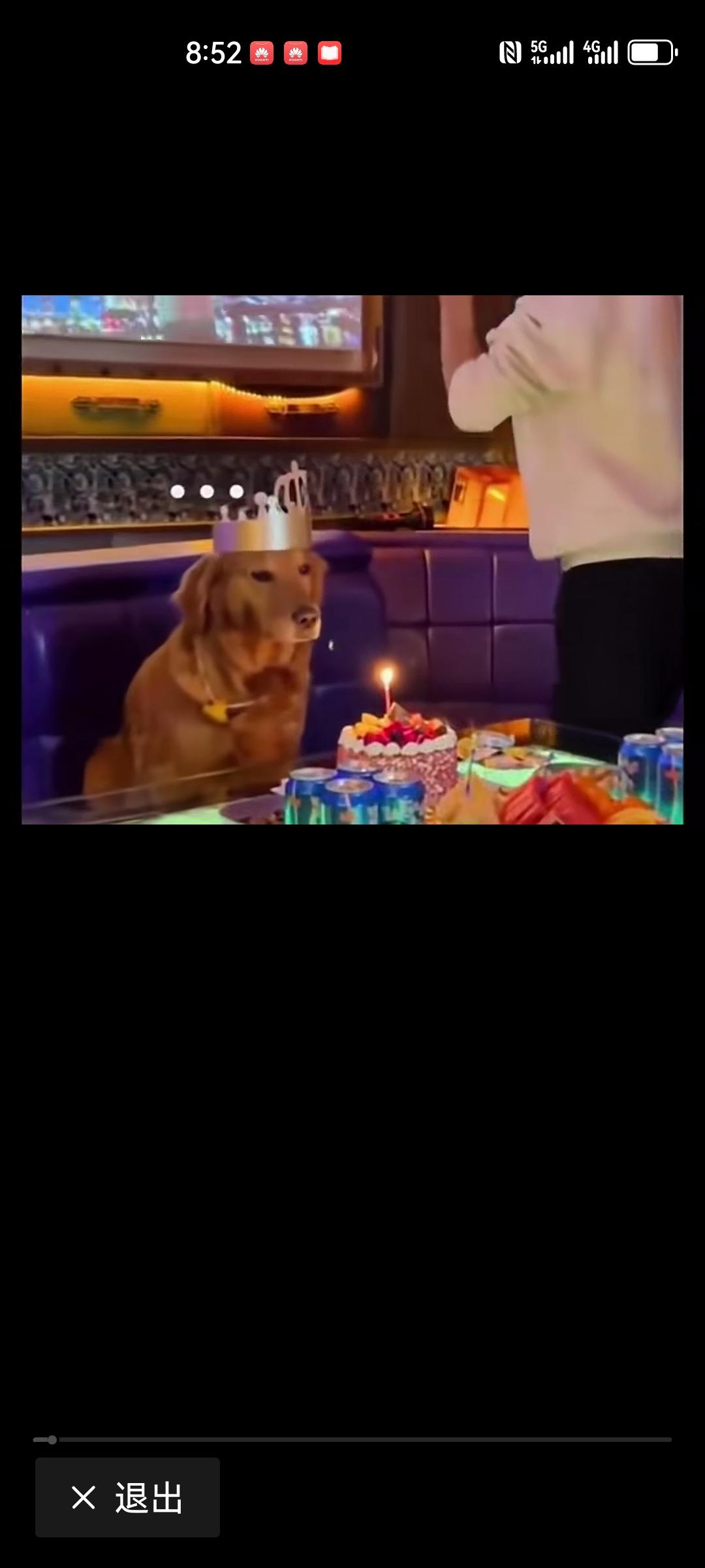 大家畅所欲言，给自己的爱犬过个隆重的生日，这种初心动机好不好。