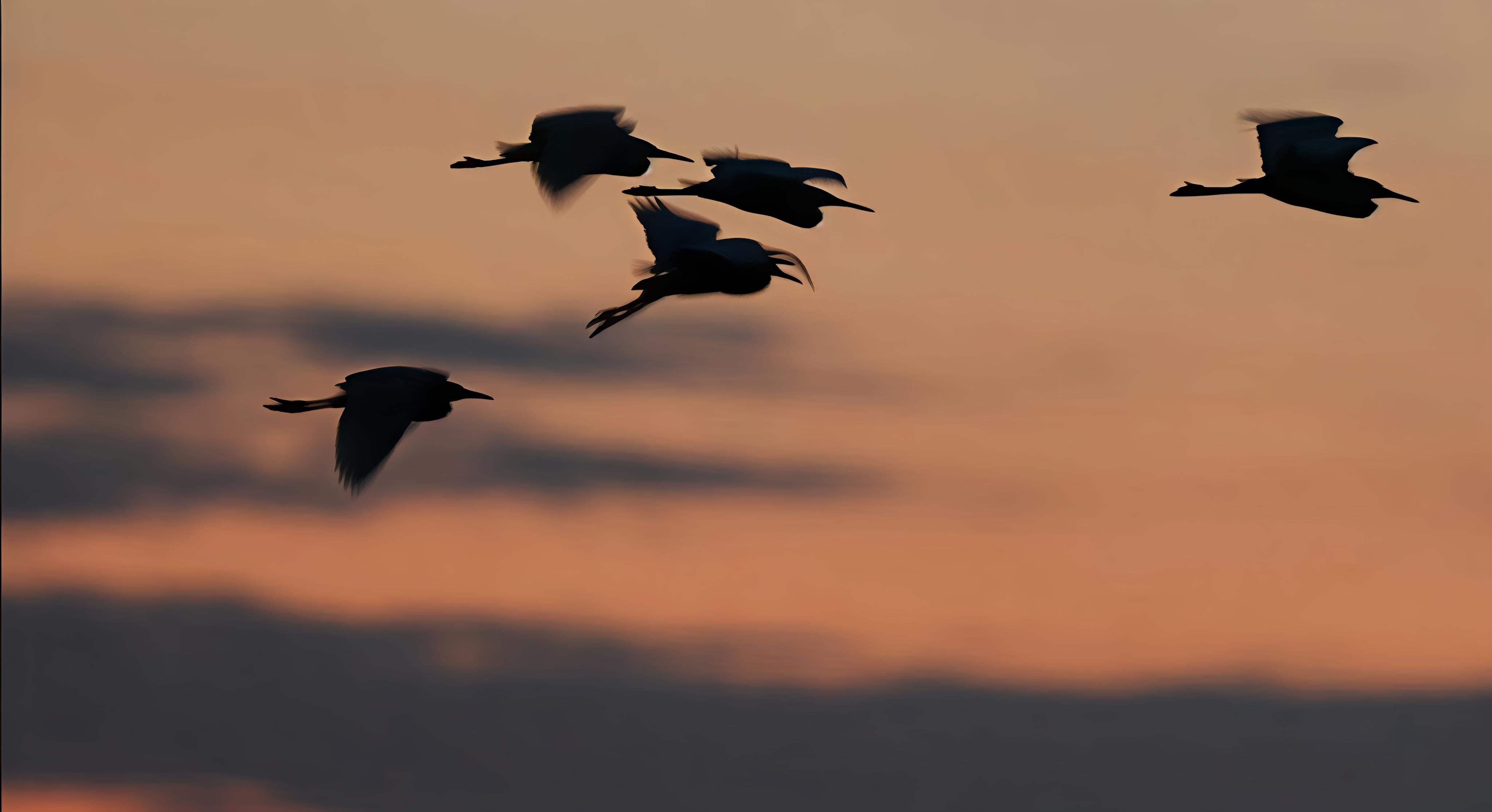 先回到生活里吧，过一点精神丰腴的日子。感官具有绝对的在场性，是你必须在此时此地，