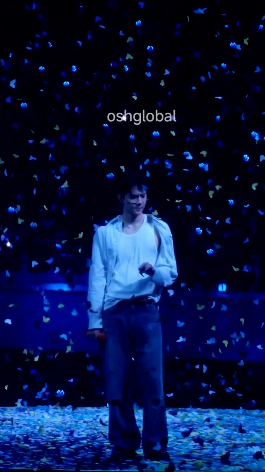 🦋漫天飞舞的蝴蝶©️OhSehunGlobal 