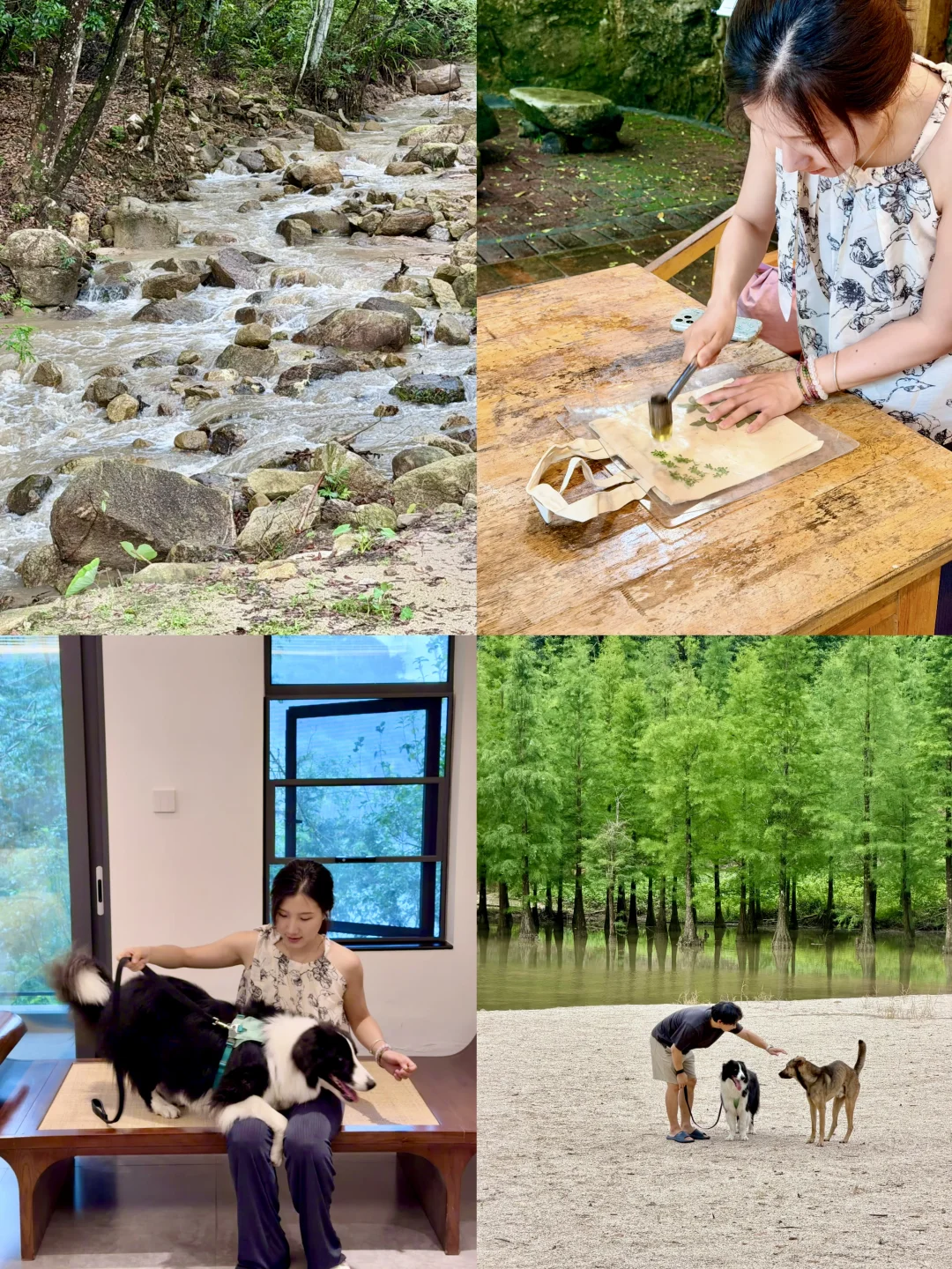 广州遛宠圣地🔥带狗狗住进香氛森林王国溯溪