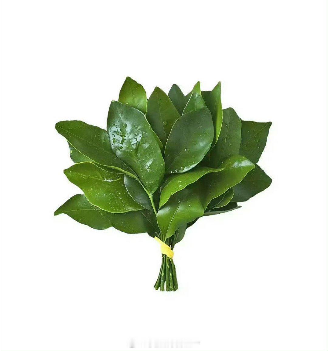 十日终焉长安二十四计海报顶流不容易啊，不是剧被碰瓷就是人被碰瓷  不说了替肖战扫