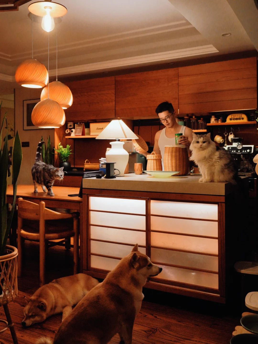 我们就这样幸福的老去吧🌛