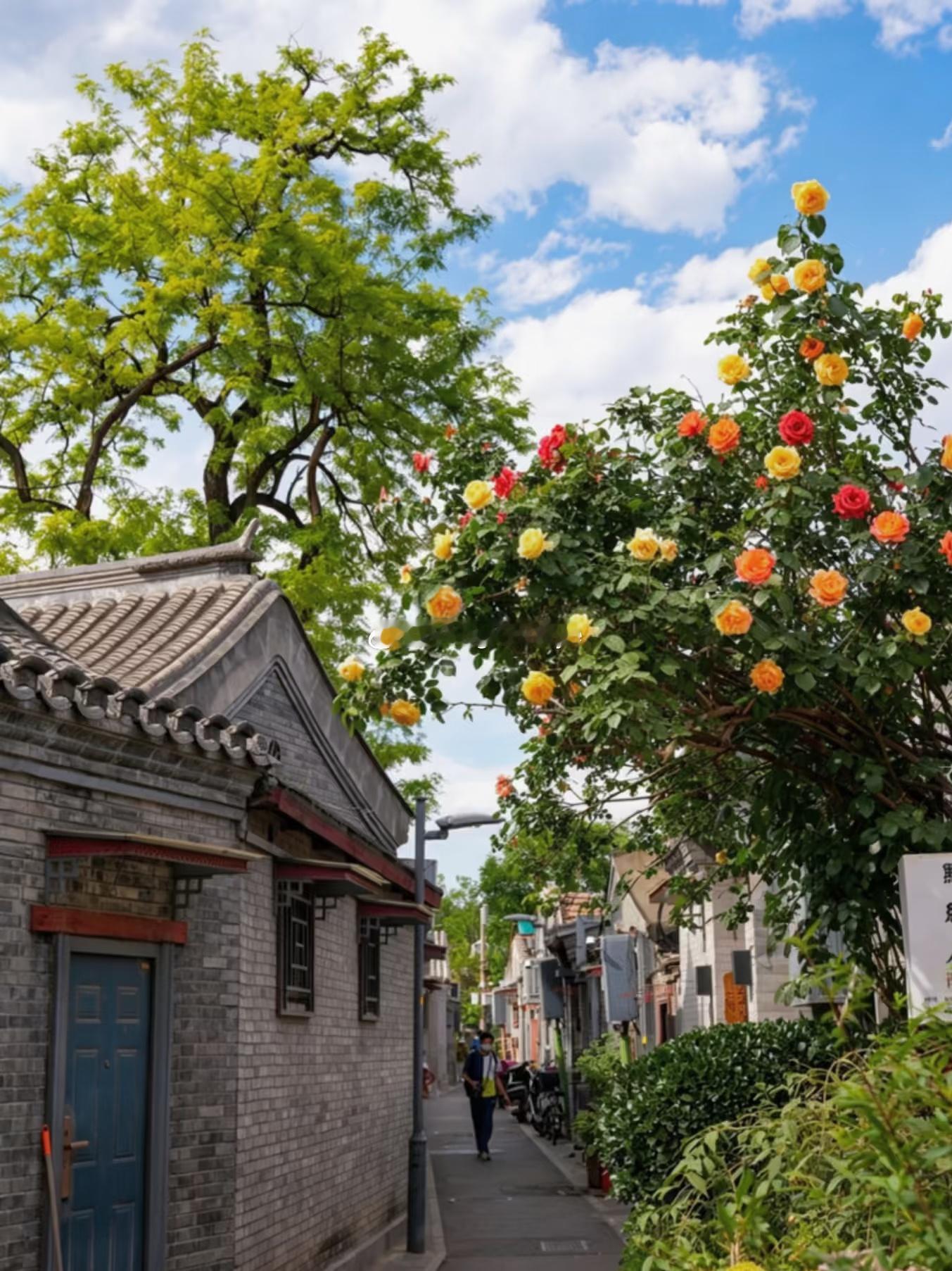 普京来北京这么多次就证明北京真的很好玩呀给普京设计个一日游，上午可登长城领略壮阔