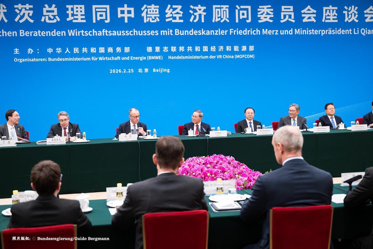 在由德国联邦经济与能源部和中国商务部共同主办的德中经济顾问委员会上，德国总理弗里