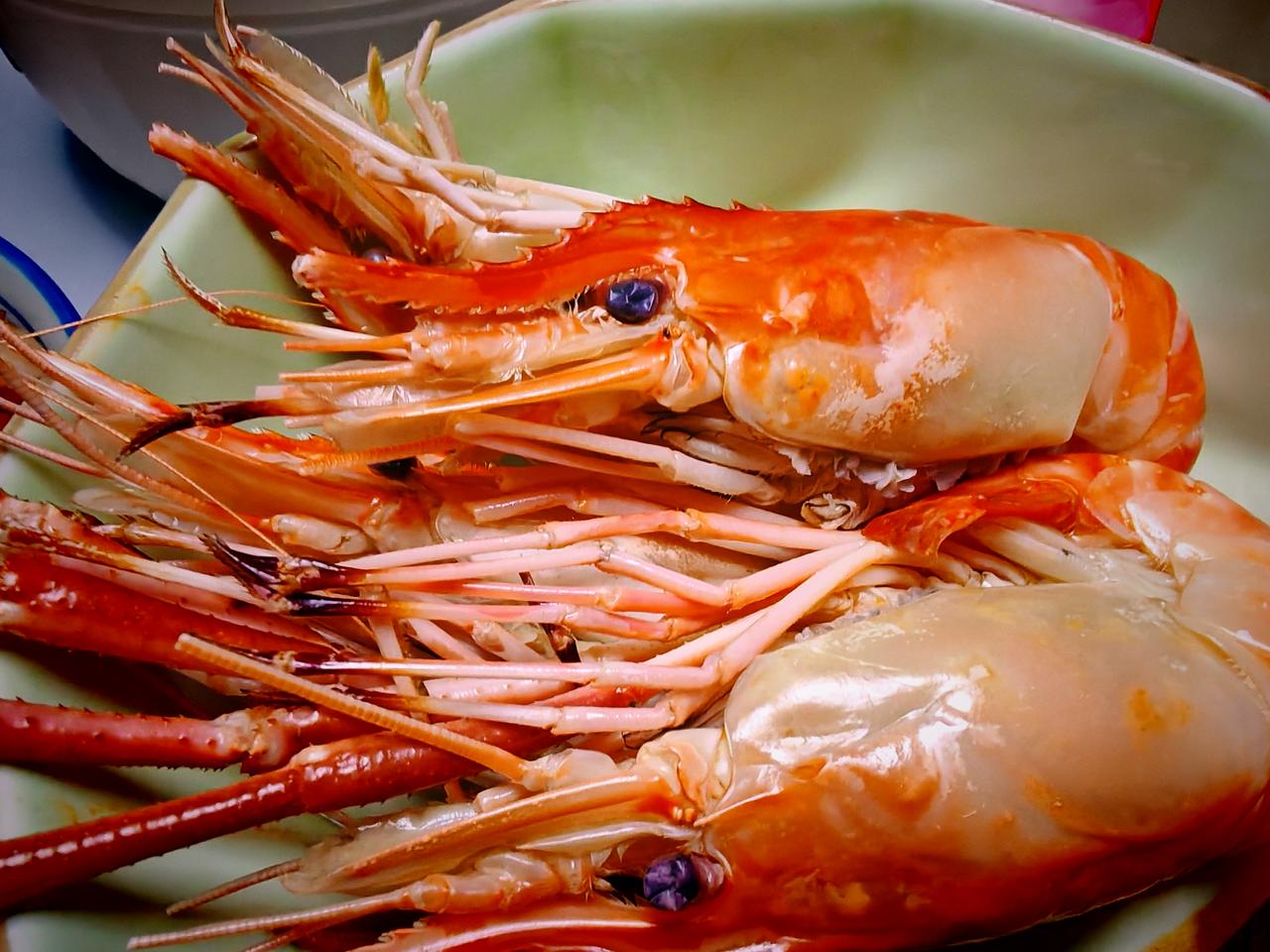 天南地北大拜年