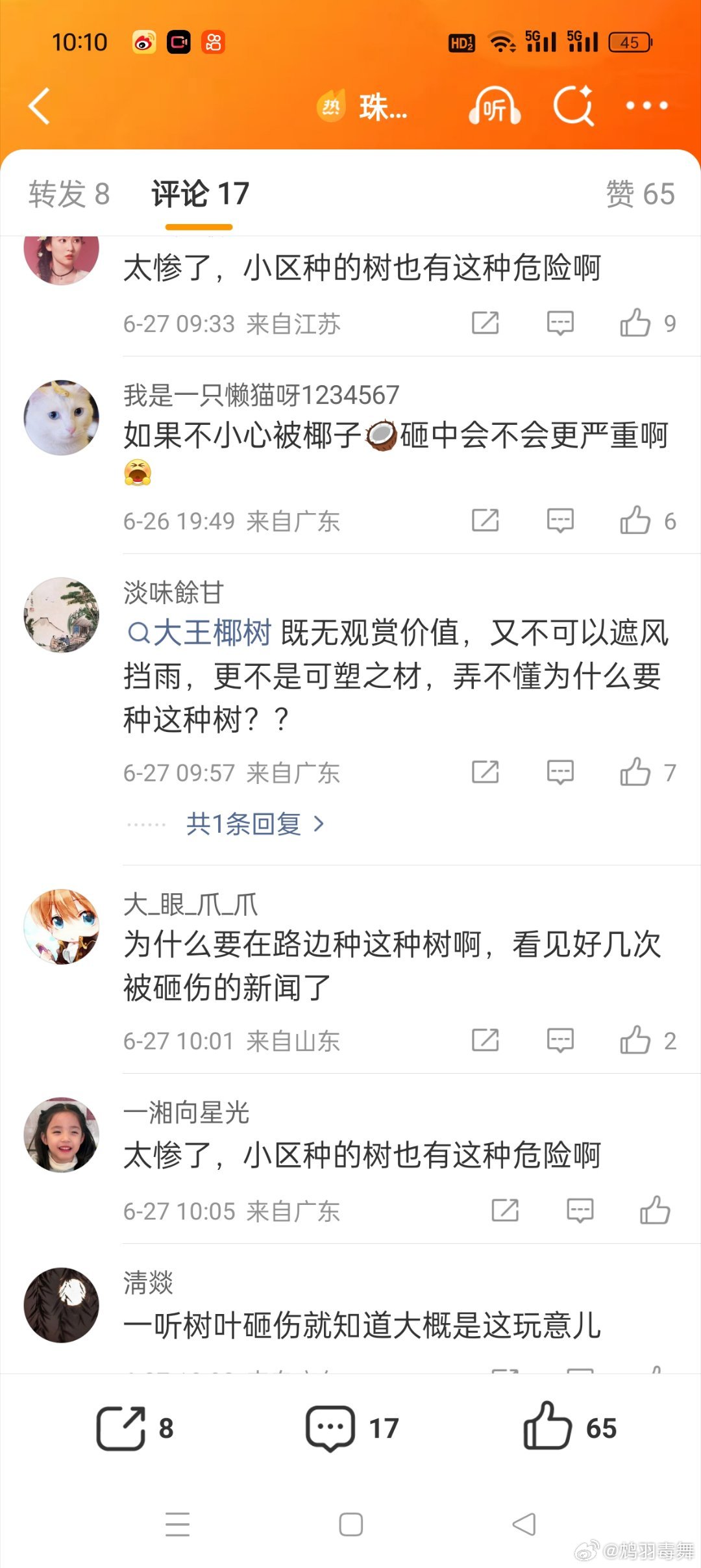 珠海一女子被树叶砸成十级伤残我跟大家看到第一反应应该都是一样的：这也可以啊？这什